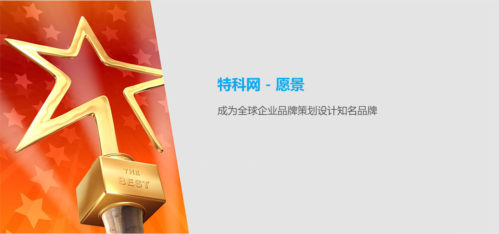 公司愿景(图1)